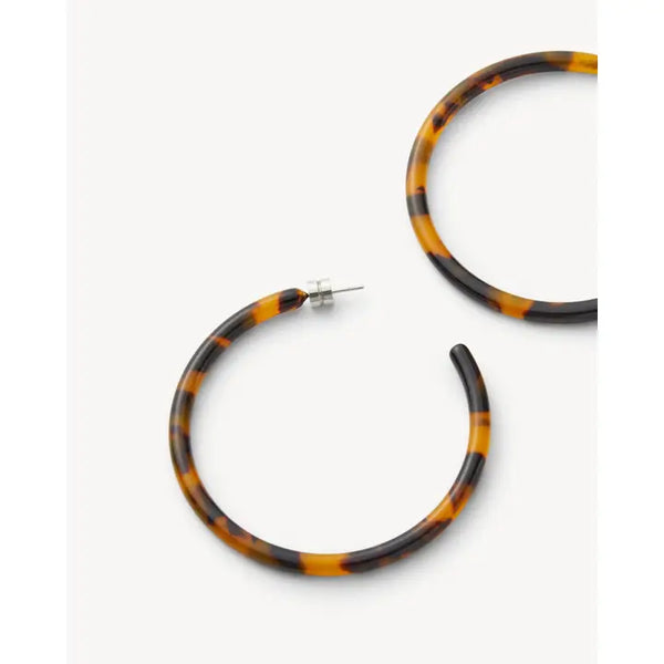 Large Hoops - Classic Tortoise