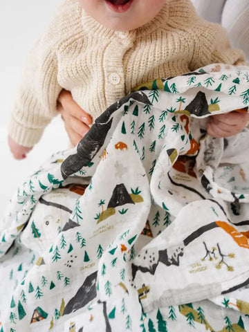 National Parks Swaddle