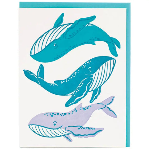 Whale Whale Whale - General Card