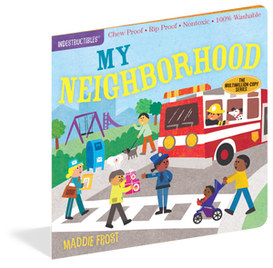 My Neighborhood - Indestructible Book