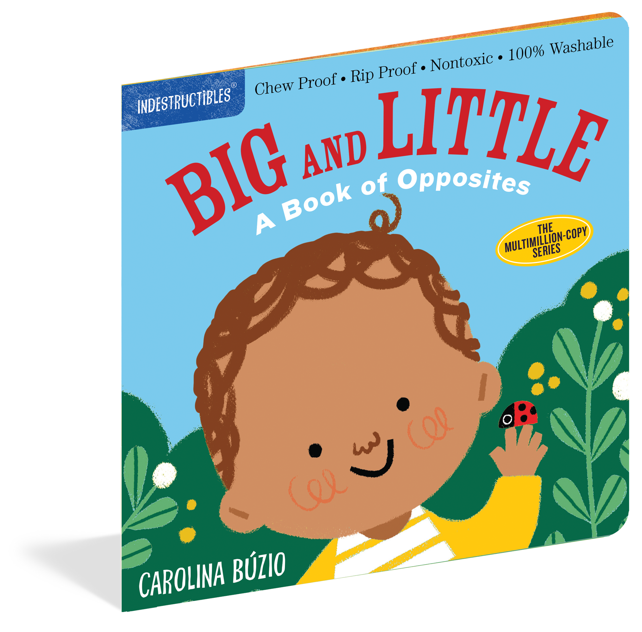Big And Little - Indestructible Book