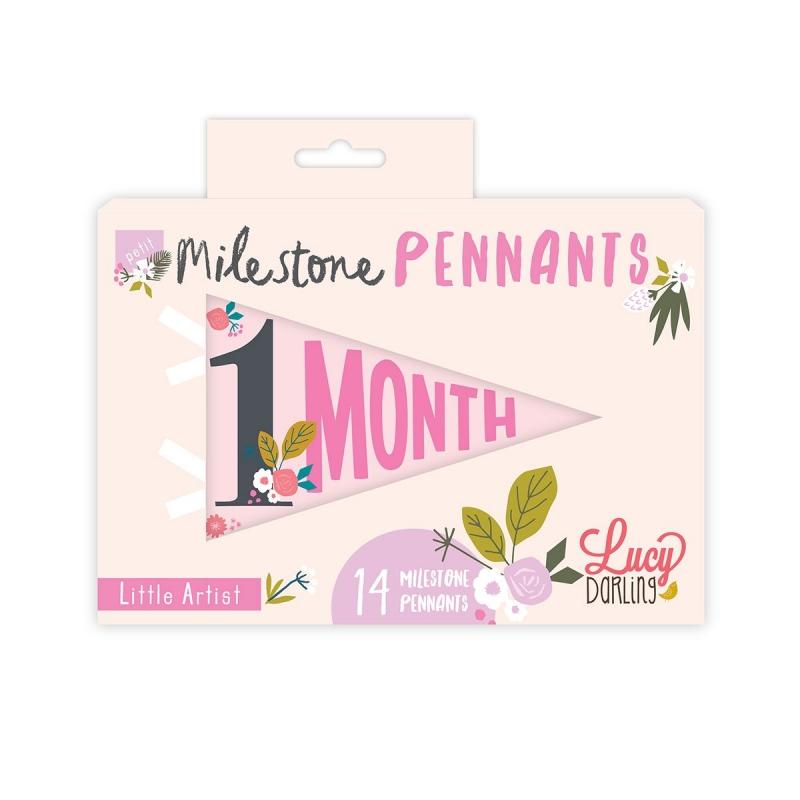 Little Artist Petit Milestone Pennant