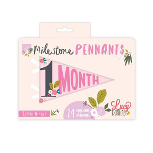 Little Artist Petit Milestone Pennant