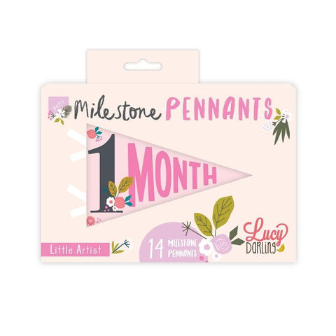 Little Artist Petit Milestone Pennant