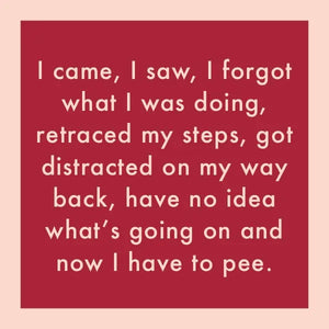 I Came, I Saw Coaster