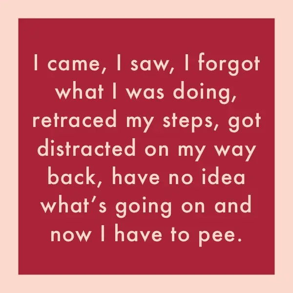 I Came, I Saw Coaster
