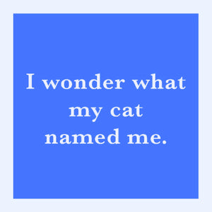Cat Named Me Coaster