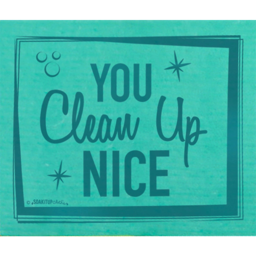 You Clean up Nice - Swedish Dishcloth