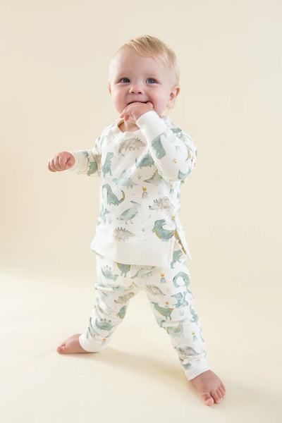 Crayon Dinos - Raglan Sweatsuit Set