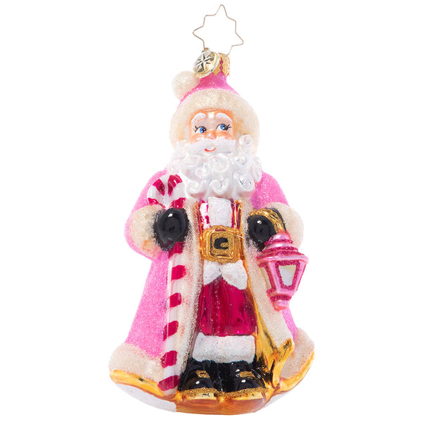 Donned in Pink - Ornament
