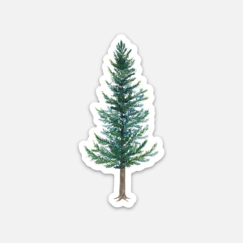 Douglas Fir - Sticker