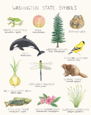 WA State Symbols - 11x14 Art Print