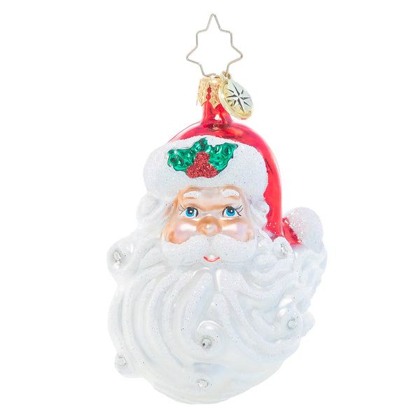 Jolly With A Dash Of Holly - Gem Ornament