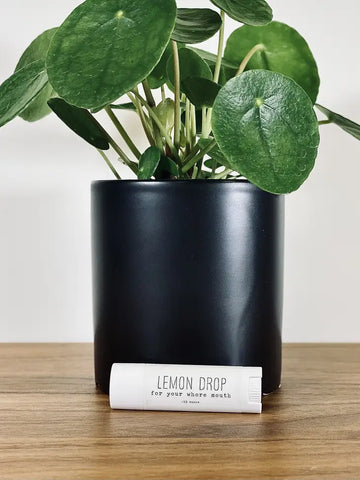 Lip Balm - Lemon Drop