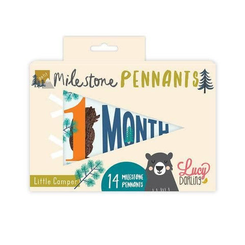 Little Camper Petit Milestone Pennant