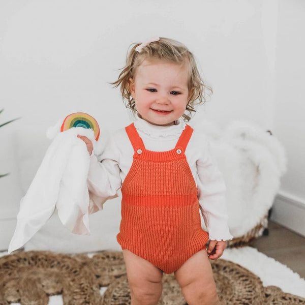 Little Rainbow Lovey