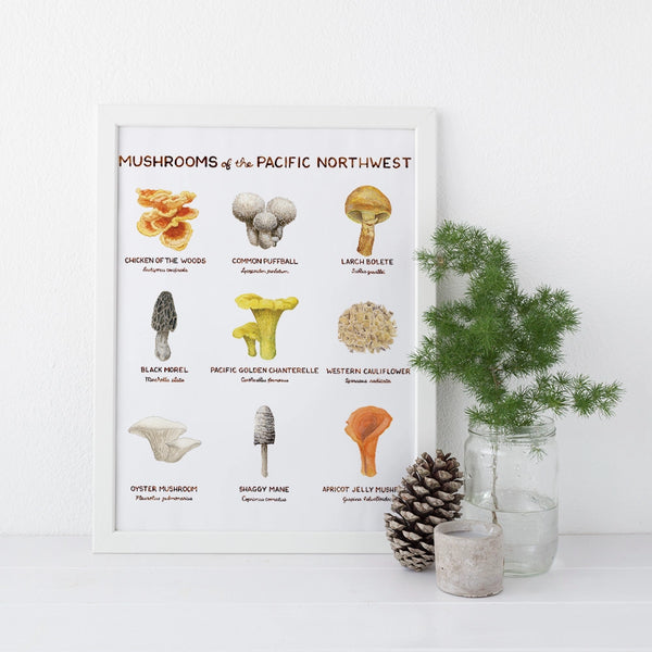 PNW Mushrooms - 11x14 Art Print
