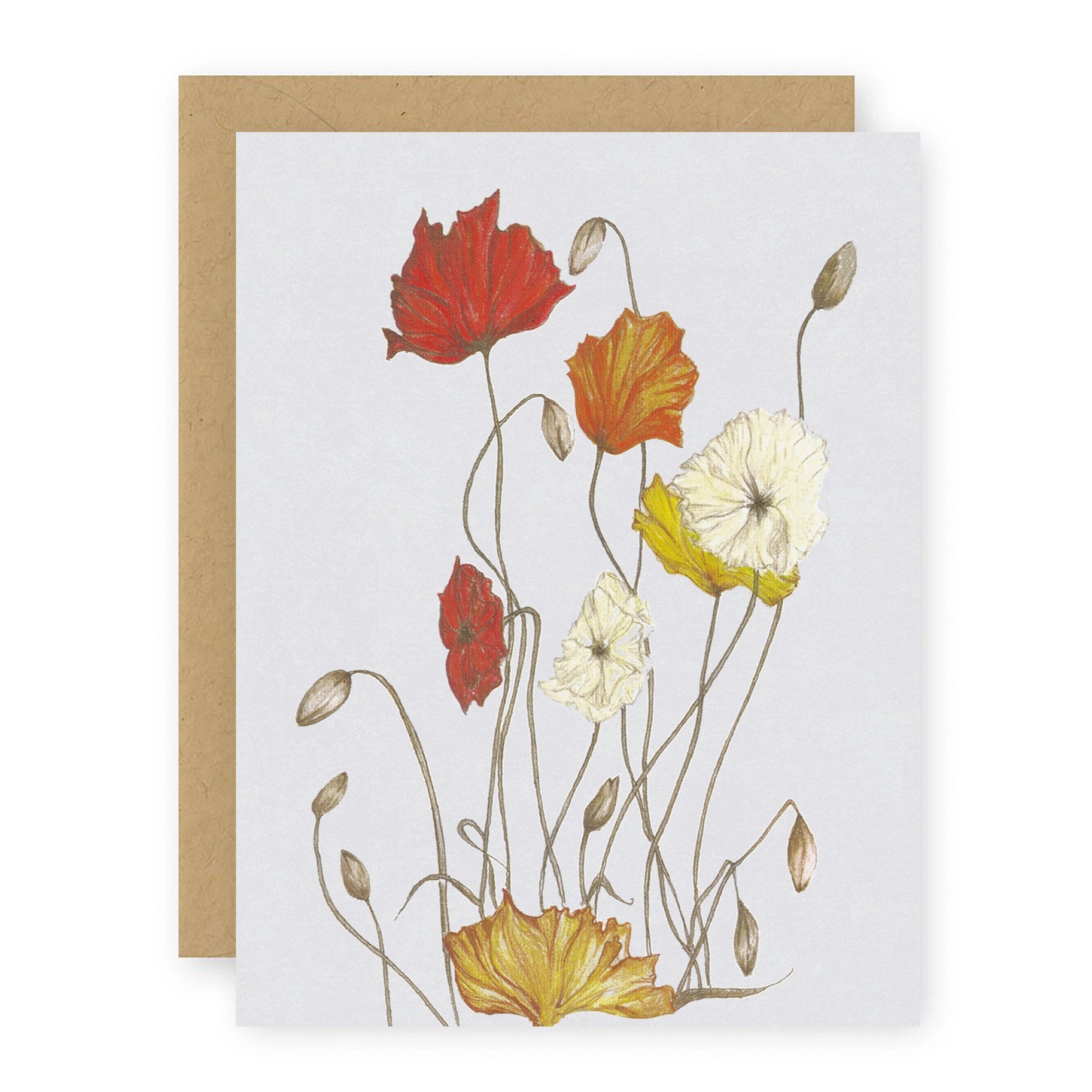 Poppies - General Card
