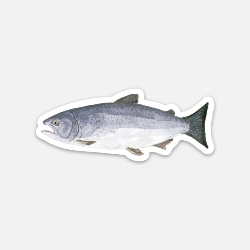 Chinook Salmon - Sticker